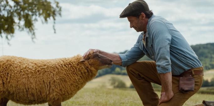 Hugh Jackman als George Hardy in GLENNKILL: EIN SCHAFSKRIMI von Amazon MGM Studios.   © 2025 Amazon Content Services LLC. All Rights Reserved.